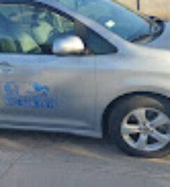 Pegaso Taxi Service
