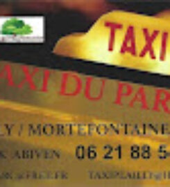 Taxi Plailly